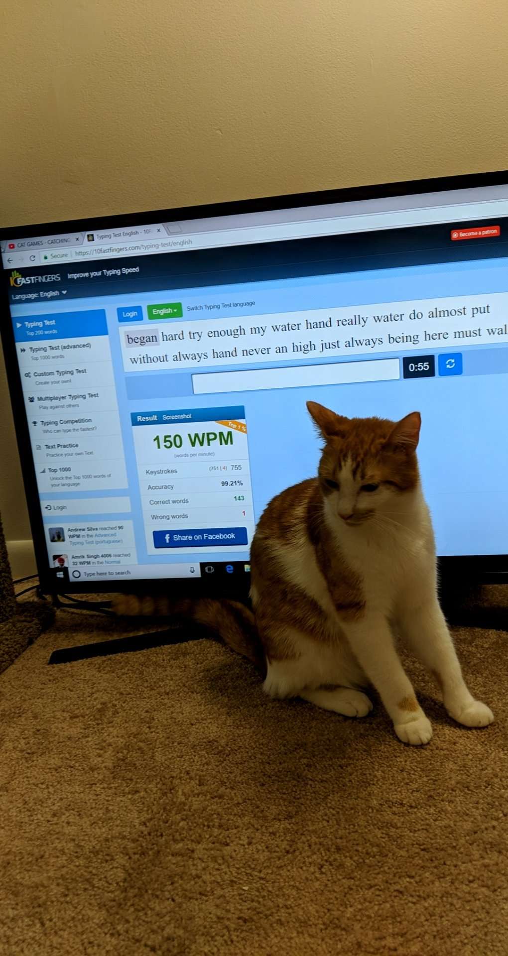 Typing cat.