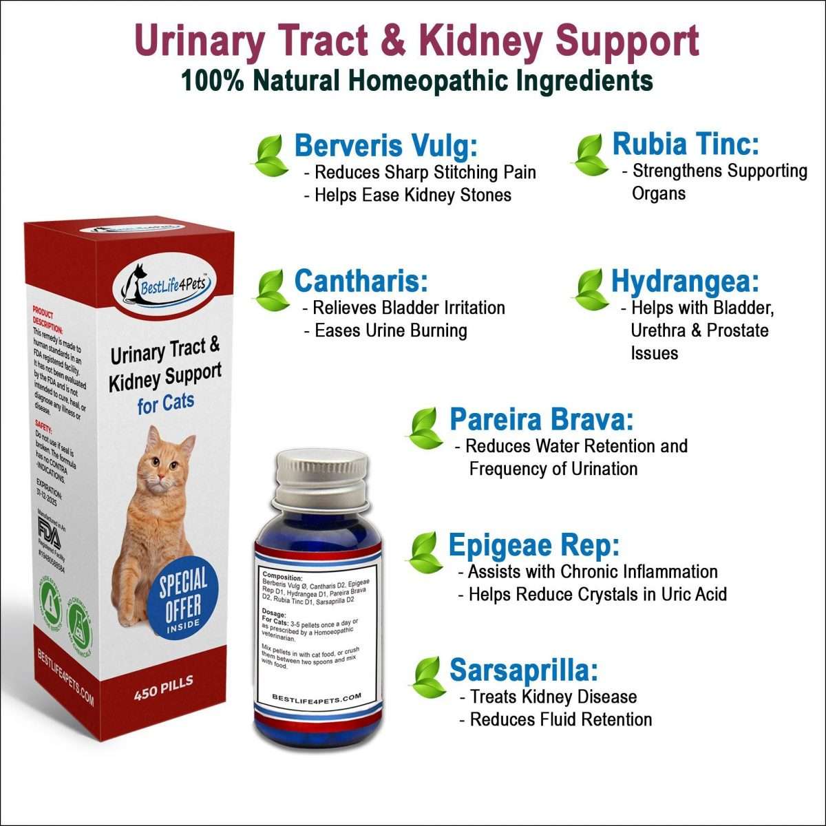 Urinary Tract Infection and Kidney Support Remedy for Cats (450 pills ...