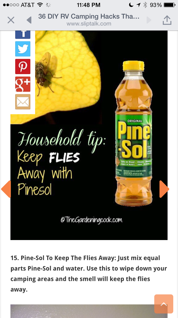 Use Pinesol to keep the bugs away. Orange peels puréed ...