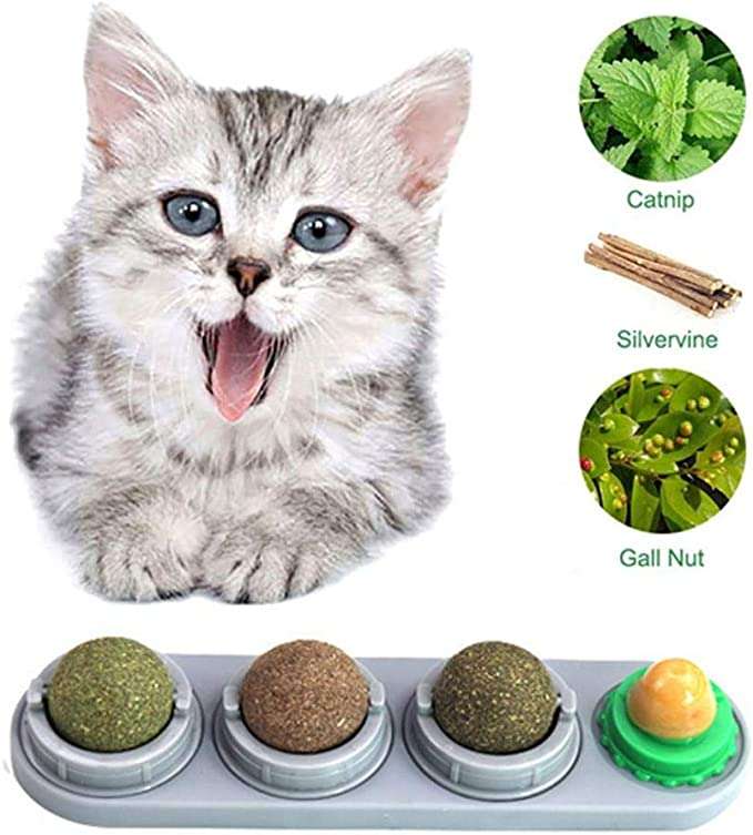 Volwco Catnip Treats for Cats Rotatable Natural Catnip Ball Toys ...