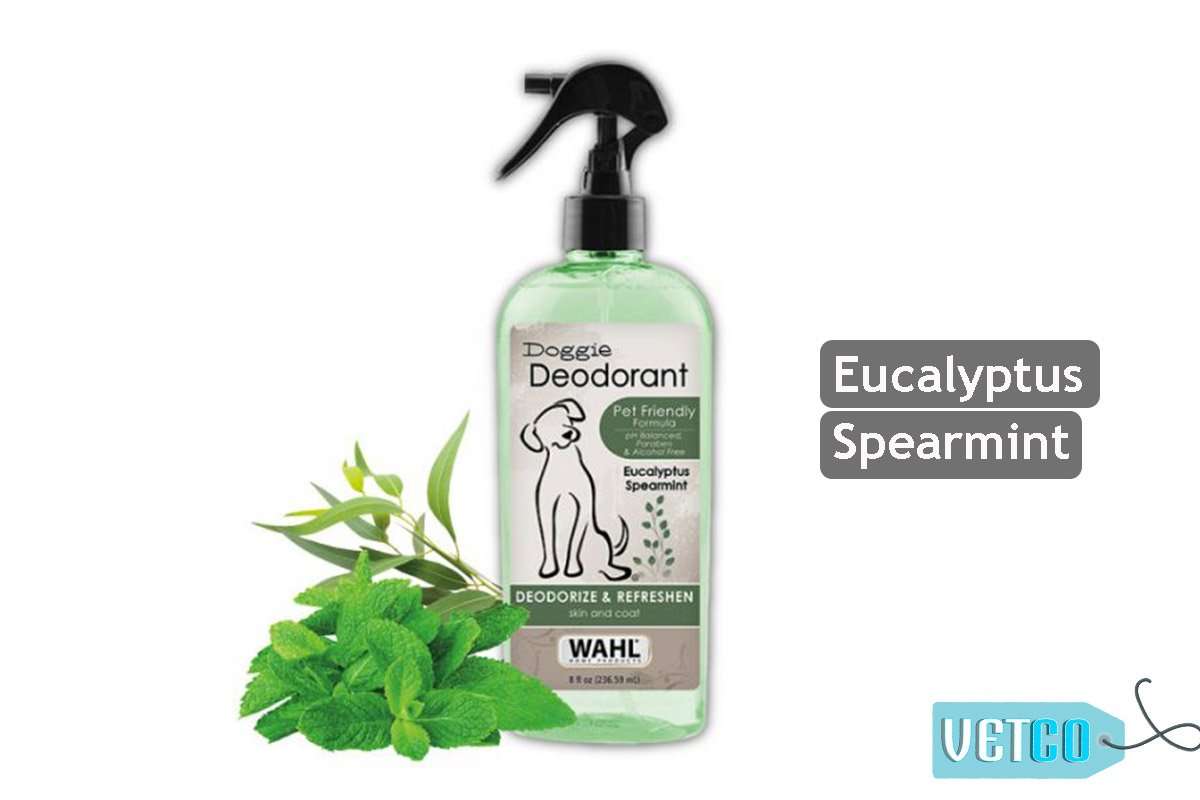 Wahl Doggie Deodorant Eucalyptus Spearmint Spray, 237 ml