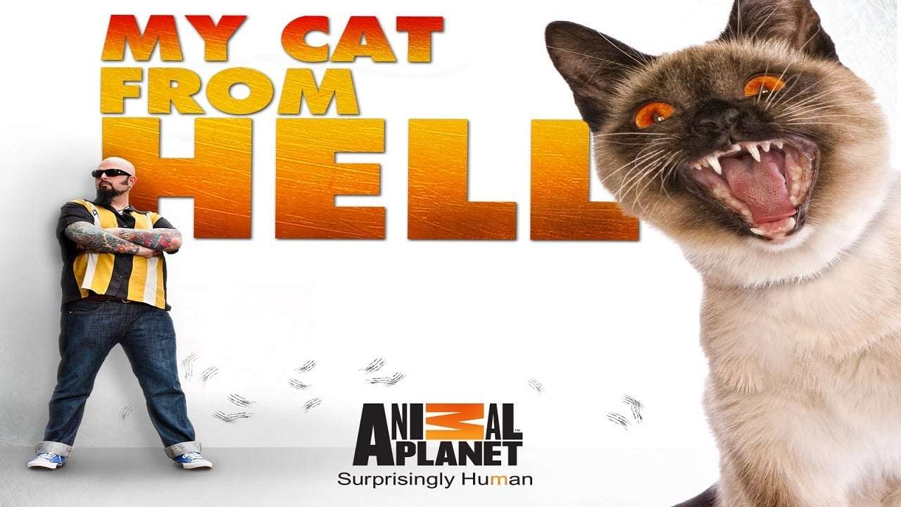 Watch My Cat from Hell(2011) Online Free, My Cat from Hell ...