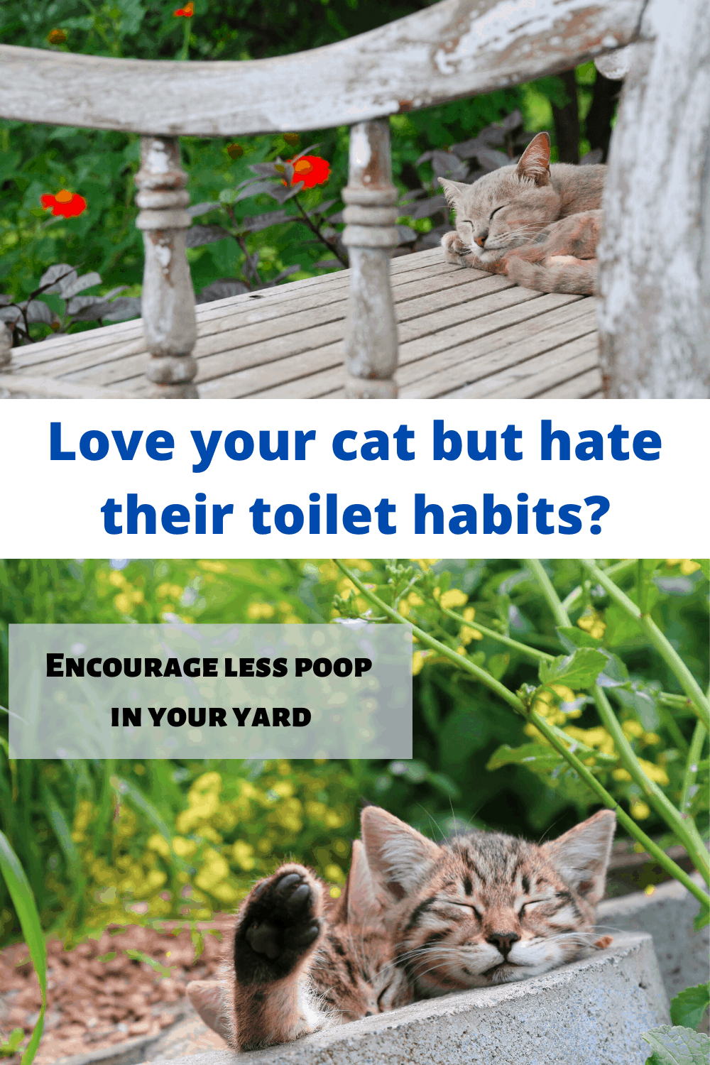 Ways to stop cats from pooping in your garden
