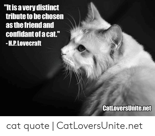 What Did Hp Lovecraft Name His Cat
