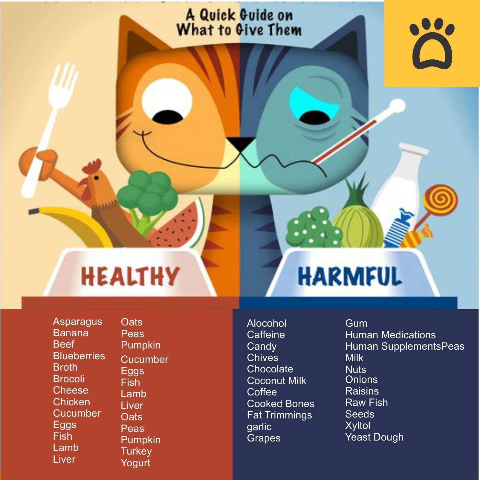What Human Foods cats can/canât eat? Searching for a ...