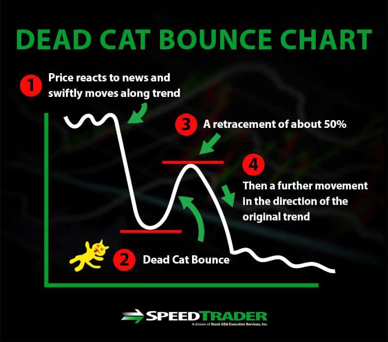 What is a Dead Cat Bounce? Definition, Explanation, and ...