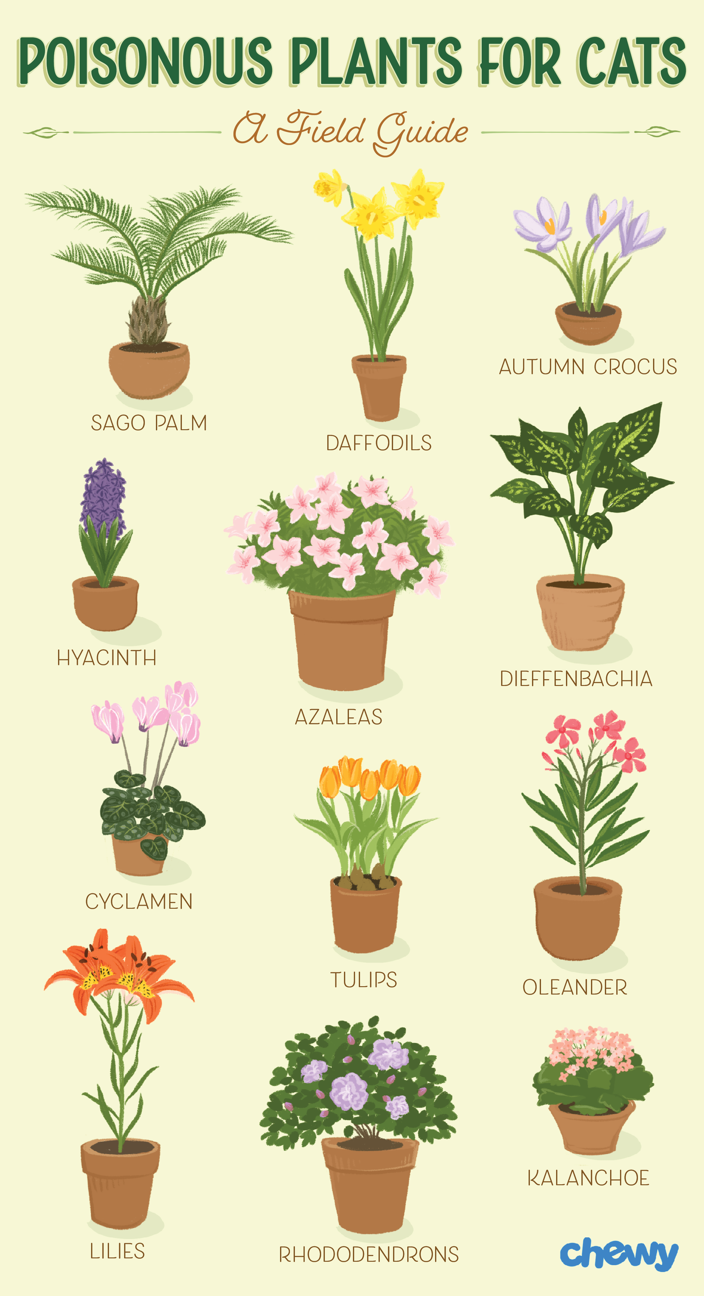 Which Plants Are Poisonous to Cats? A Complete Guide