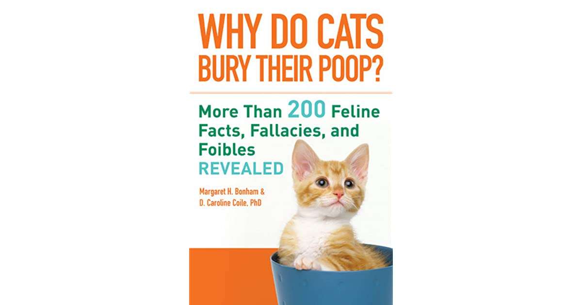 Why Do Cats Bury Their Poop? : More Than 200 Feline Facts ...