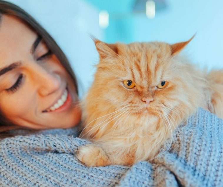 Why Does My Cat Bite My Hair?
