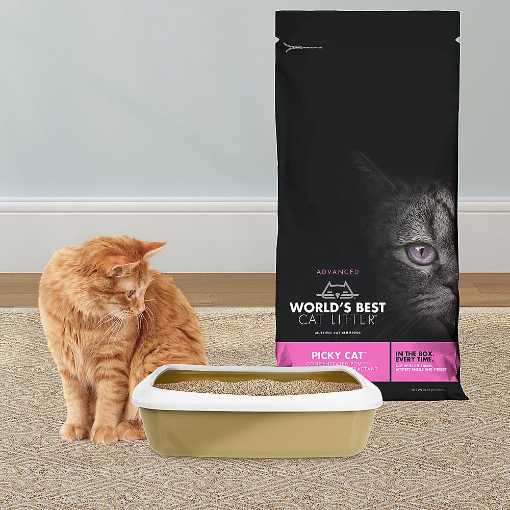Worlds Best Cat Litter  Advanced Picky Cat Litter  Clumping ...