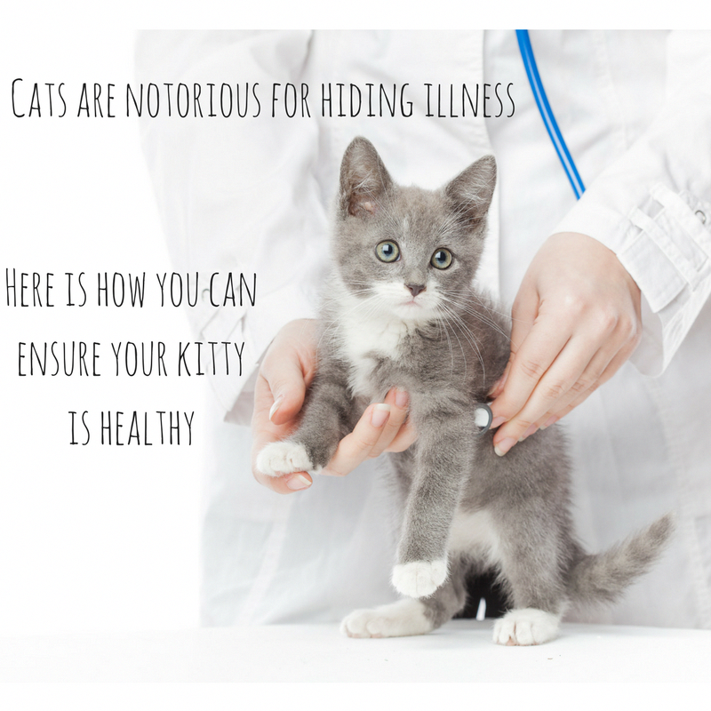 Would you know if your cat is sick?